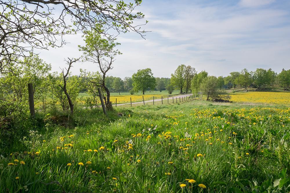 Råshults Gård Villa Vimmerby Exteriör bild