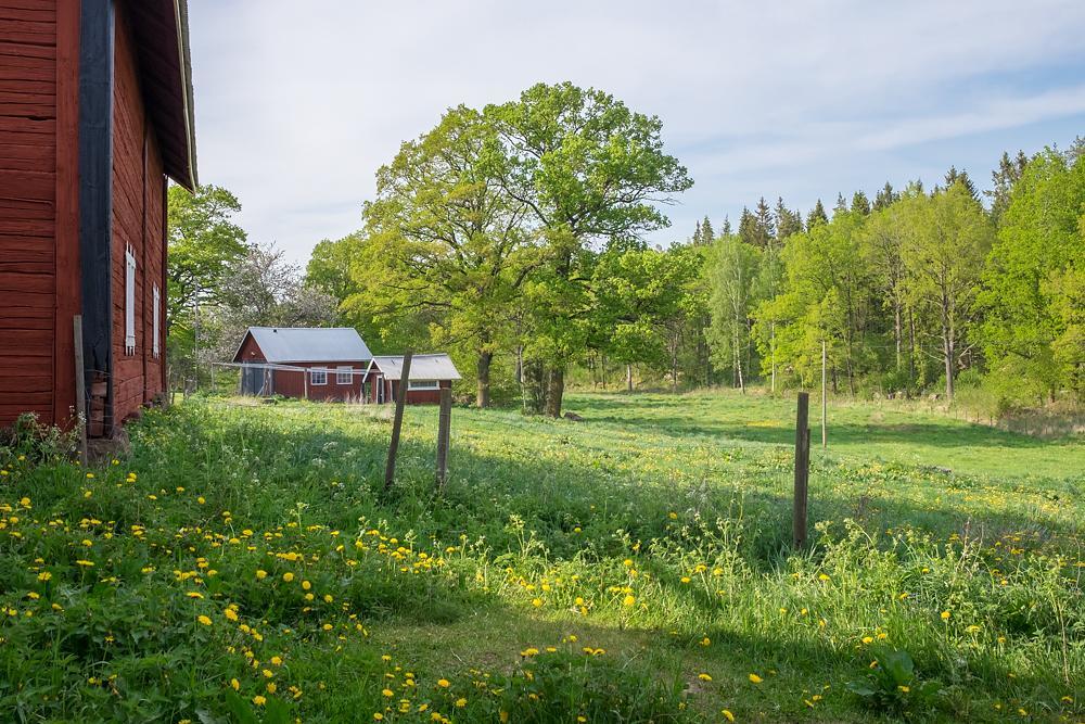 Råshults Gård Villa Vimmerby Exteriör bild